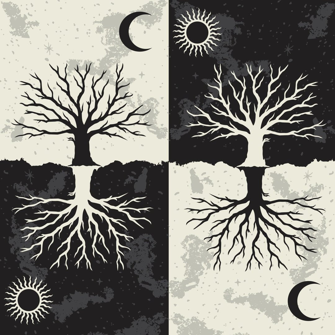 Chaussettes montantes « As Above So Below Tree »