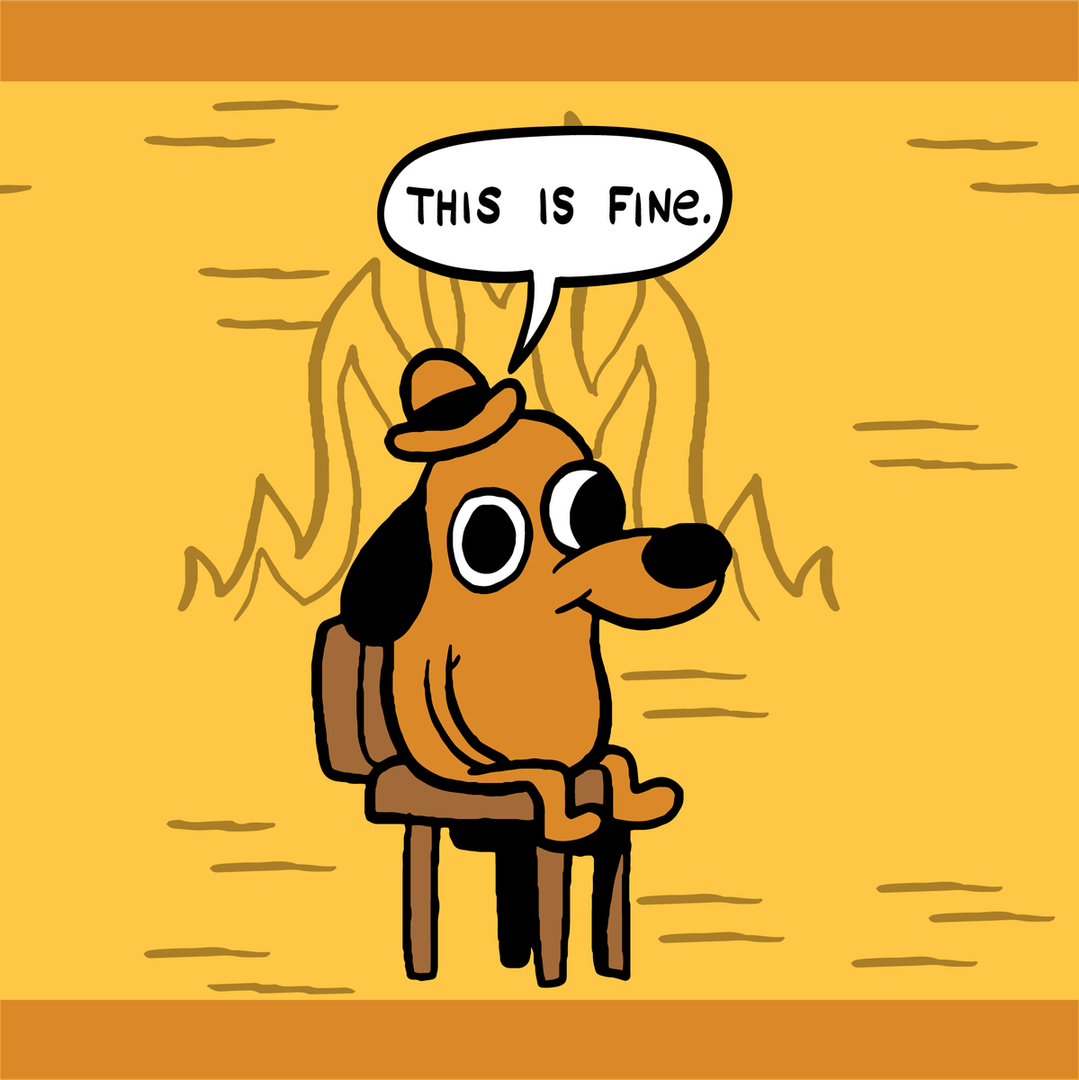 This is Fine: Chaussettes de cheville édition classique