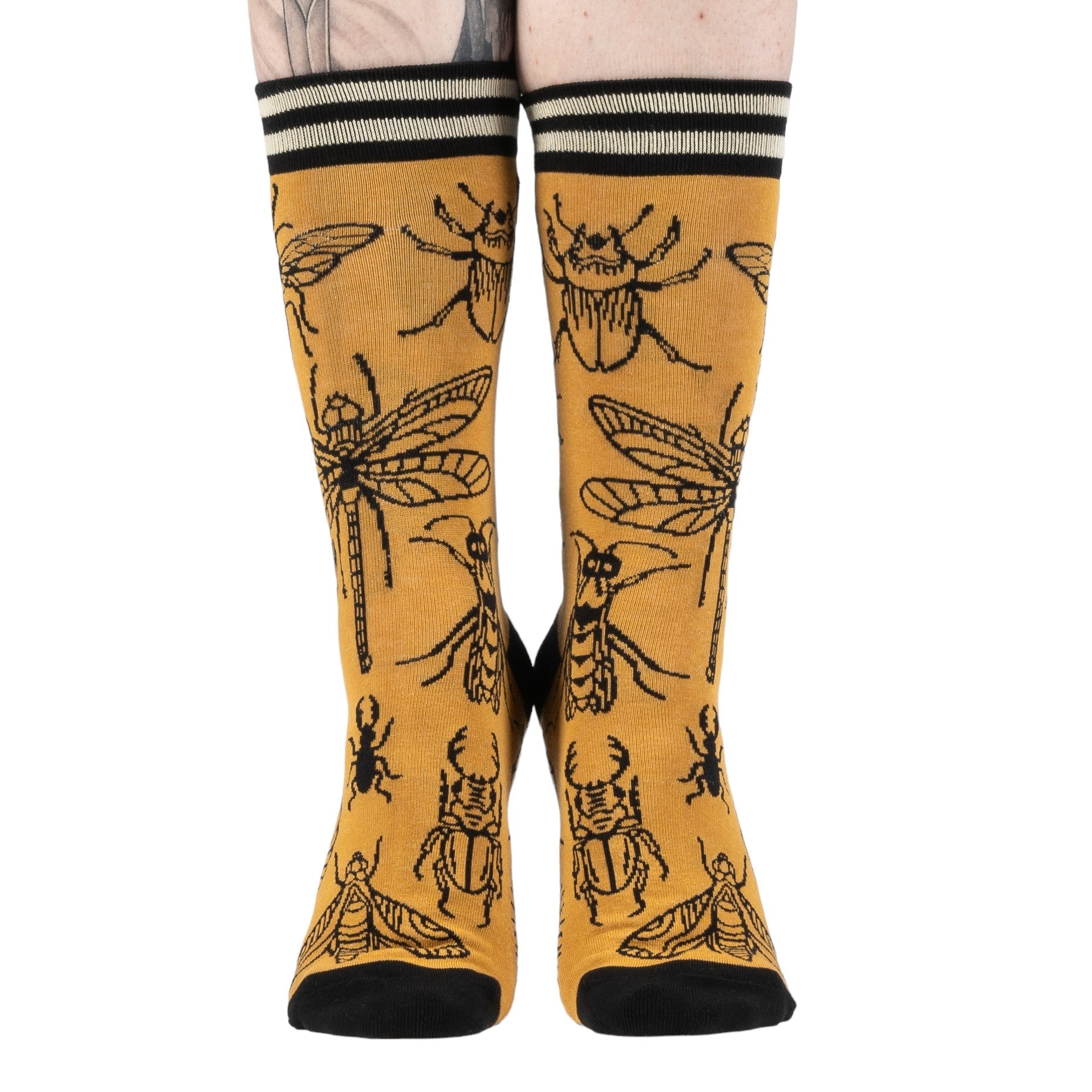 Chaussettes "Petites Bêtes Glauques"