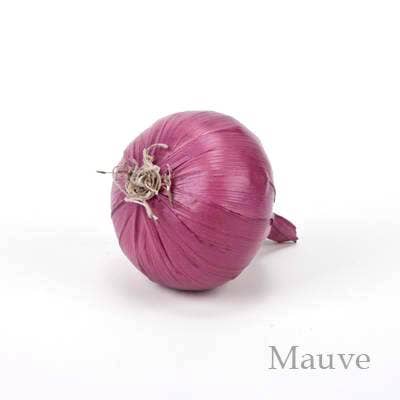 Artificial Faux Onion