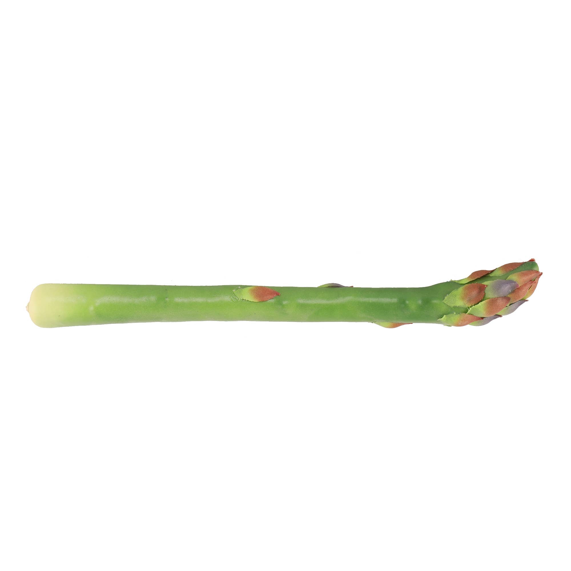 Artificial Faux Asparagus