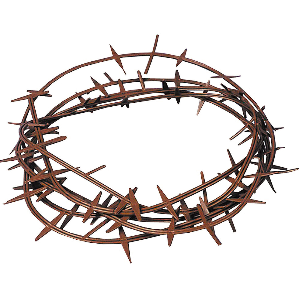 Adult Crown of Thorns