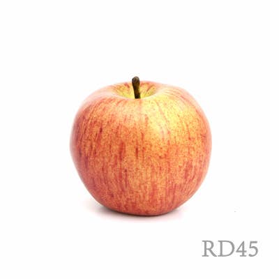Artificial Apple