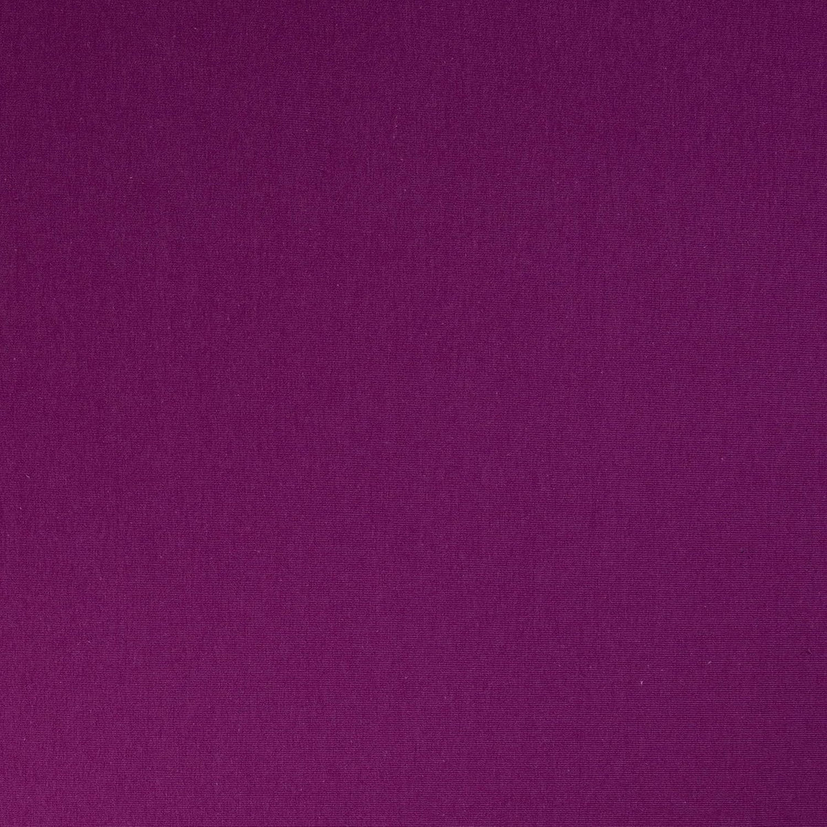 Wholesale Cotton Spandex Jersey Fabric