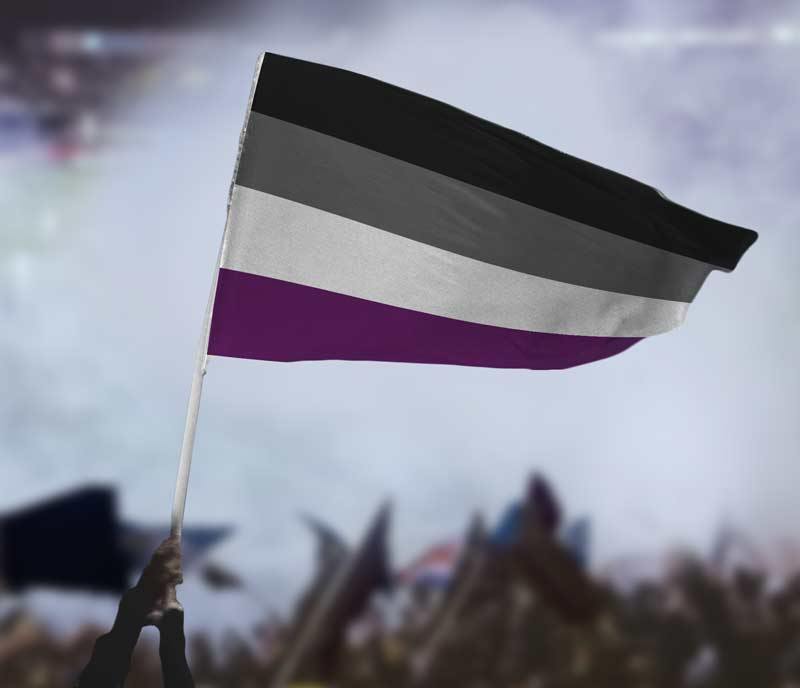 Asexual Pride flag carried at outdoor protest