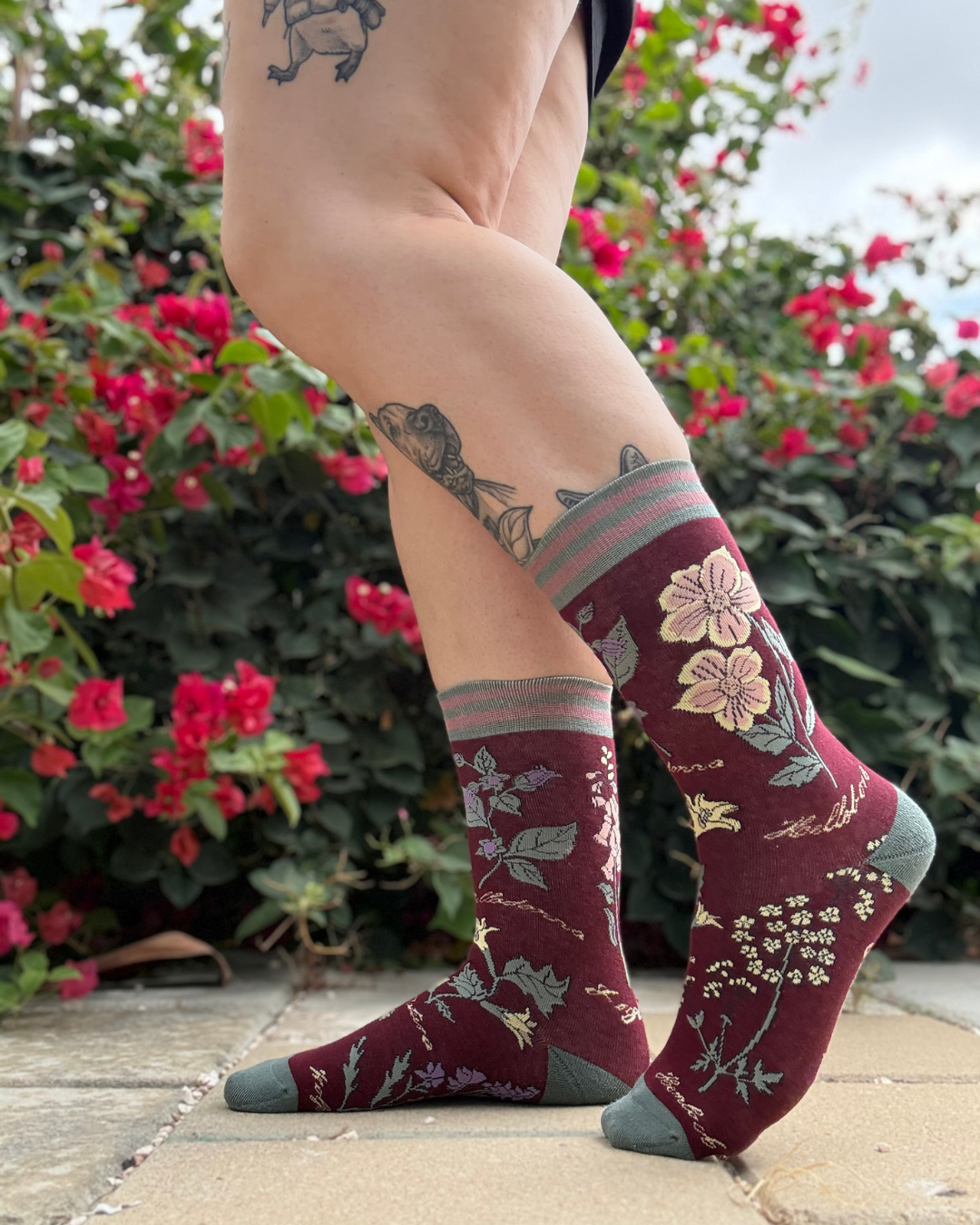 Chaussettes équipage Botanique Funeste