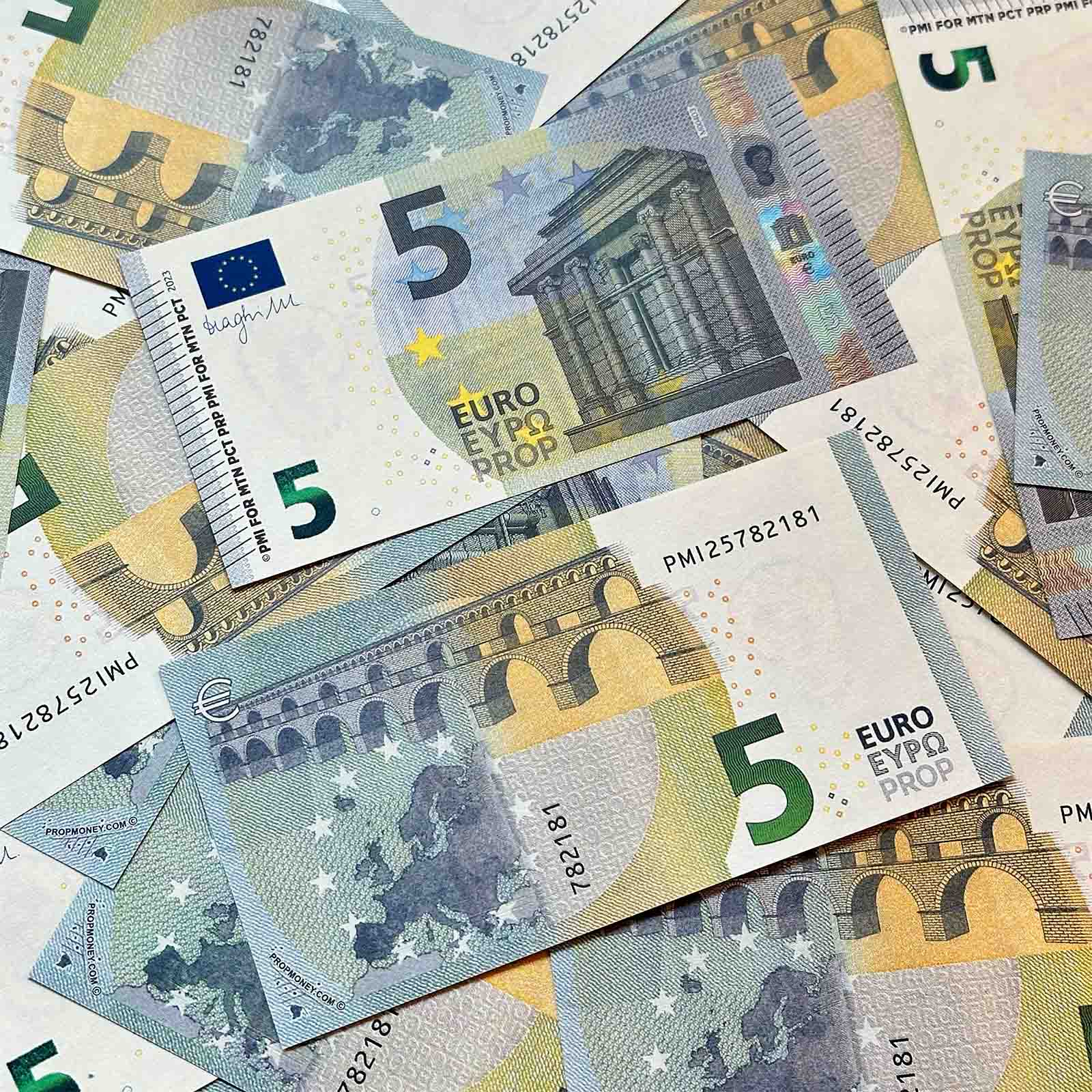 Prop €5 Euro banknotes — fanned stack showing front and back detail