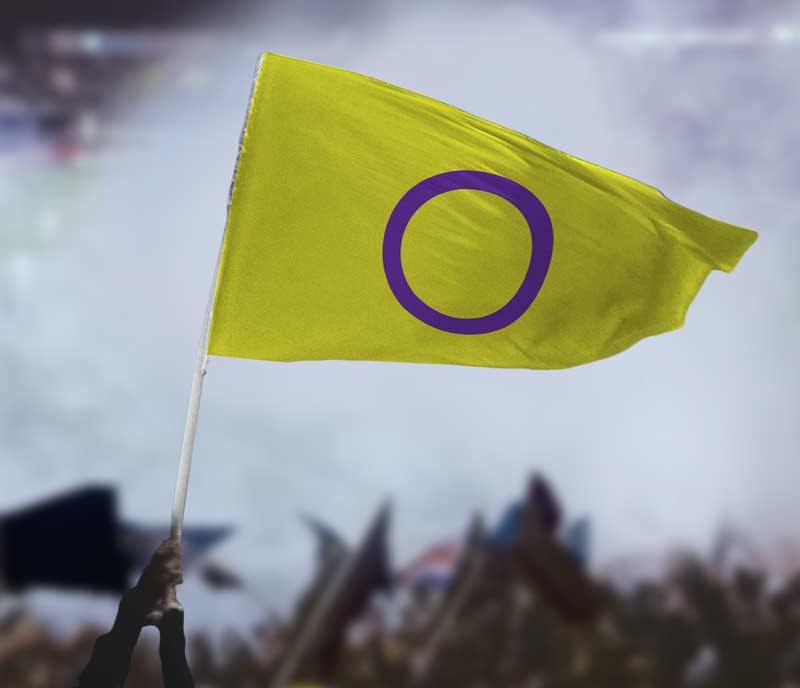 Intersex Pride Flag carried at an outdoor protest or march