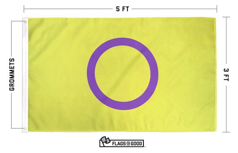 Intersex Pride Flag specs diagram showing dimensions and construction details