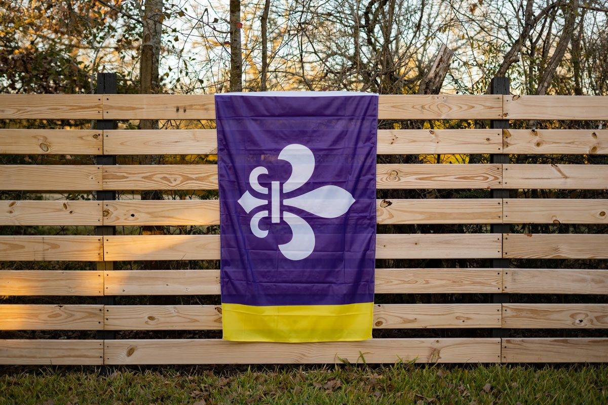 Louisiana Mardi Gras flag displayed on a fence outdoors