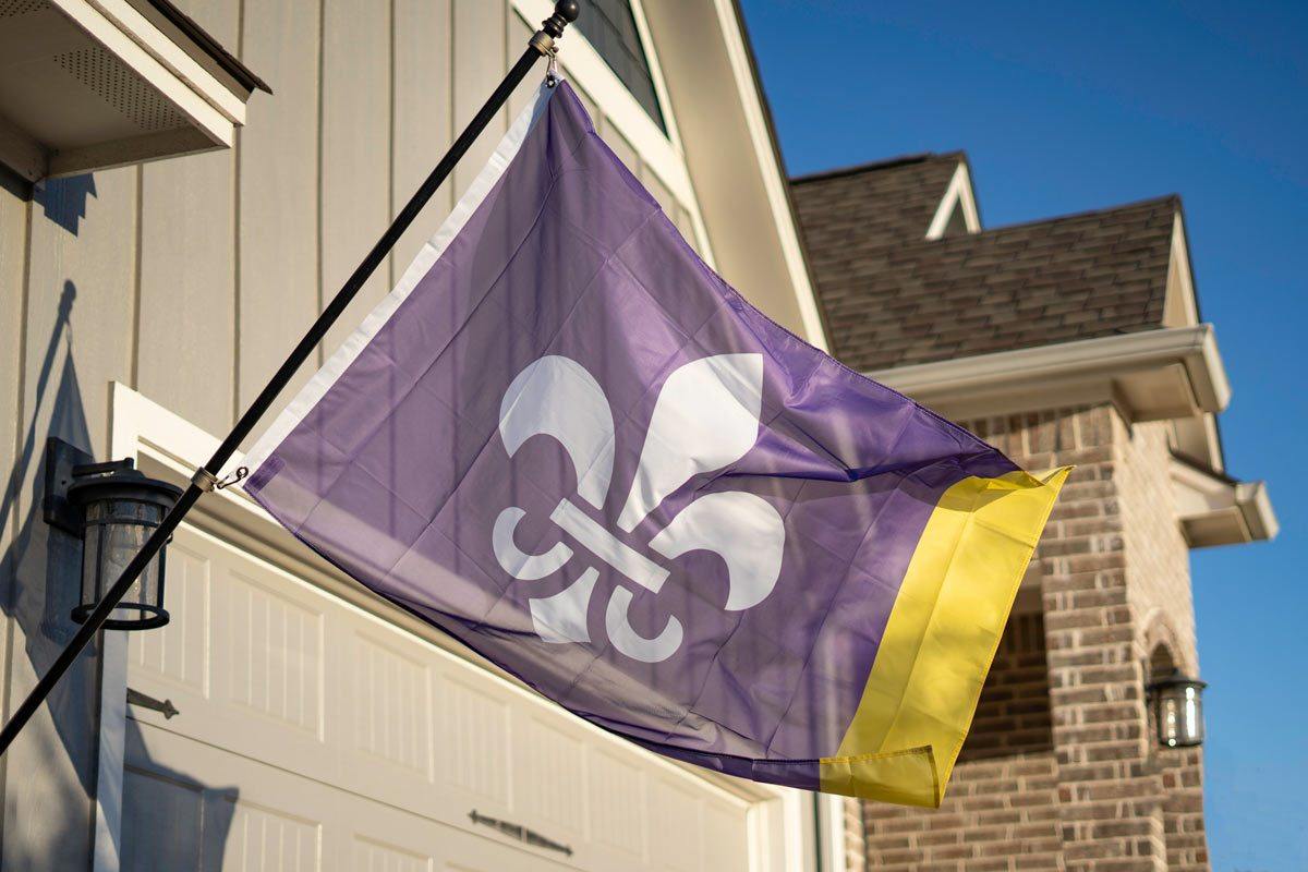 Louisiana Mardi Gras flag flying on a flagpole
