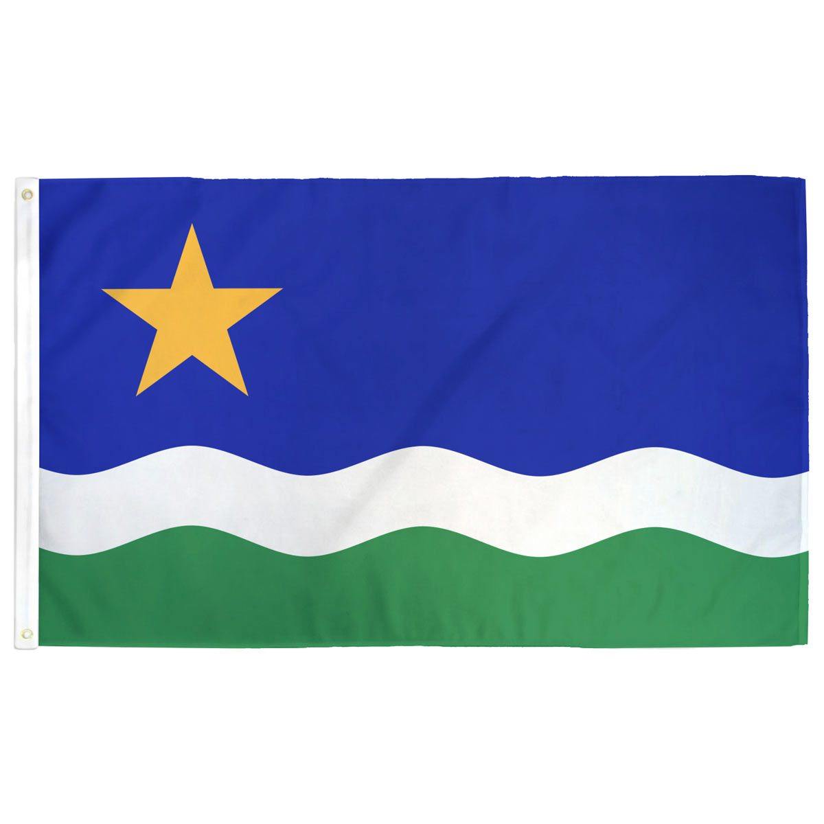 Minnesota "North Star" Flag