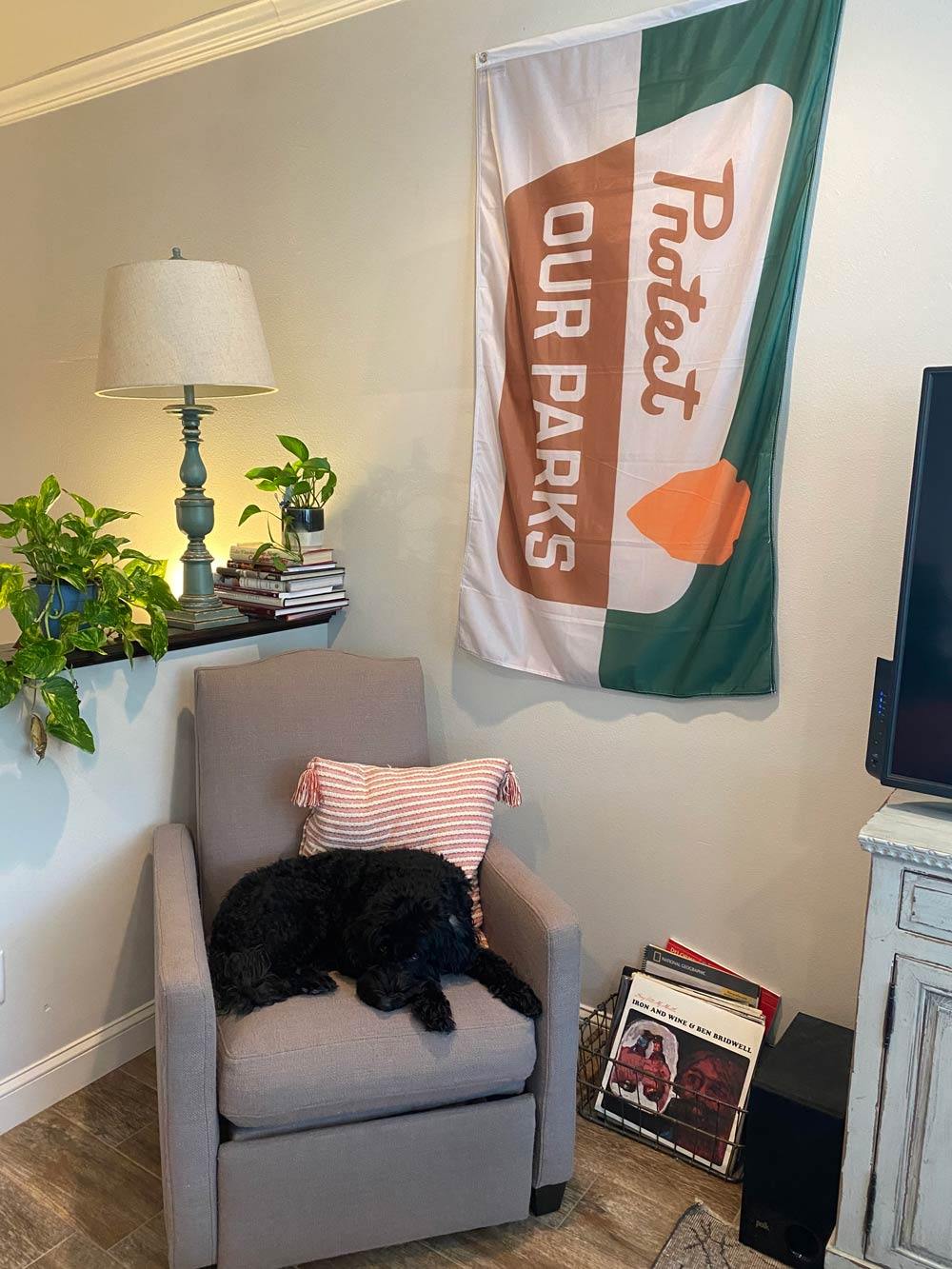 Protect Our Parks Flag displayed outside a home on a flagpole