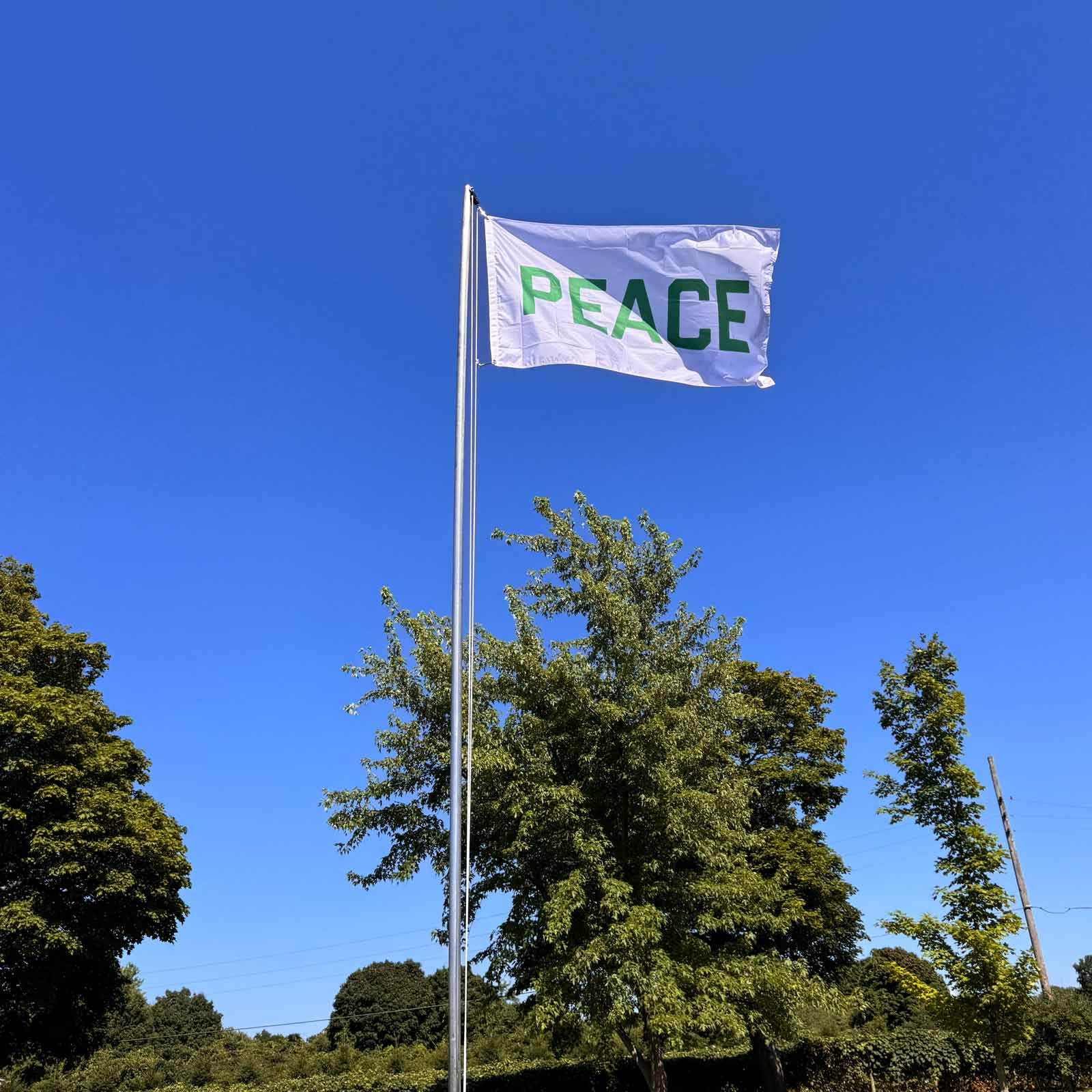 Peace Historic Flag