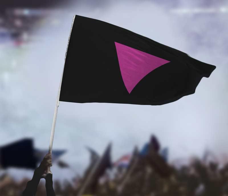 Pink Triangle flag carried at protest, in-use crowd scene
