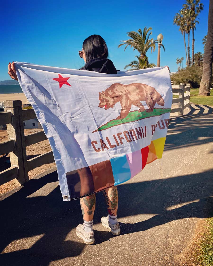 Rainbow California Pride flag displayed at beach