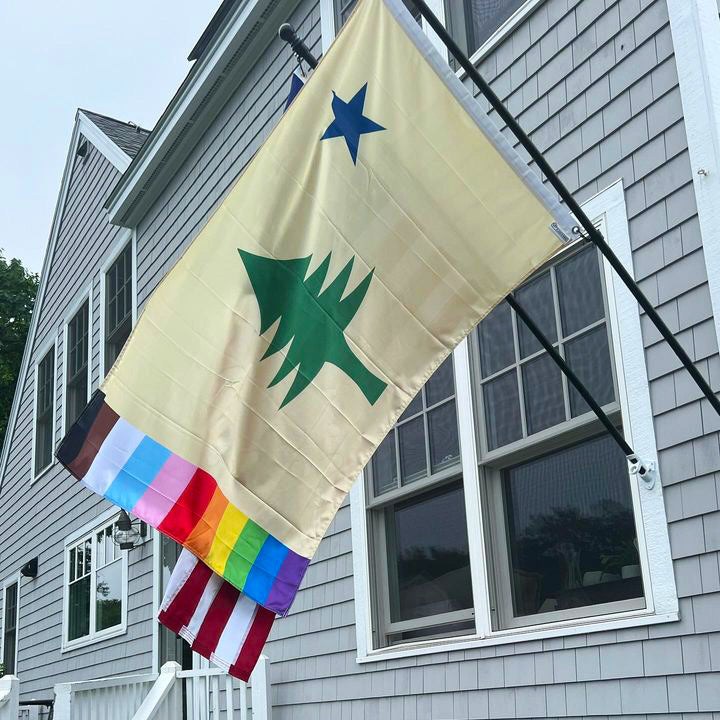 Rainbow Maine 1901 flag displayed outdoors on a home