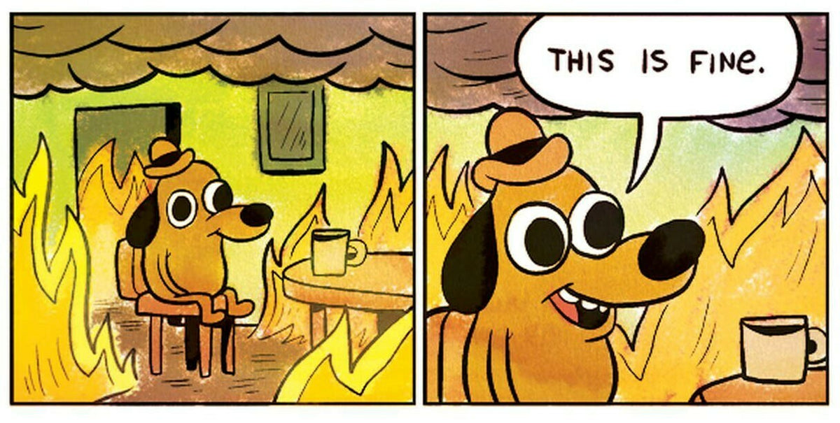 This is Fine: Chaussettes de cheville édition classique