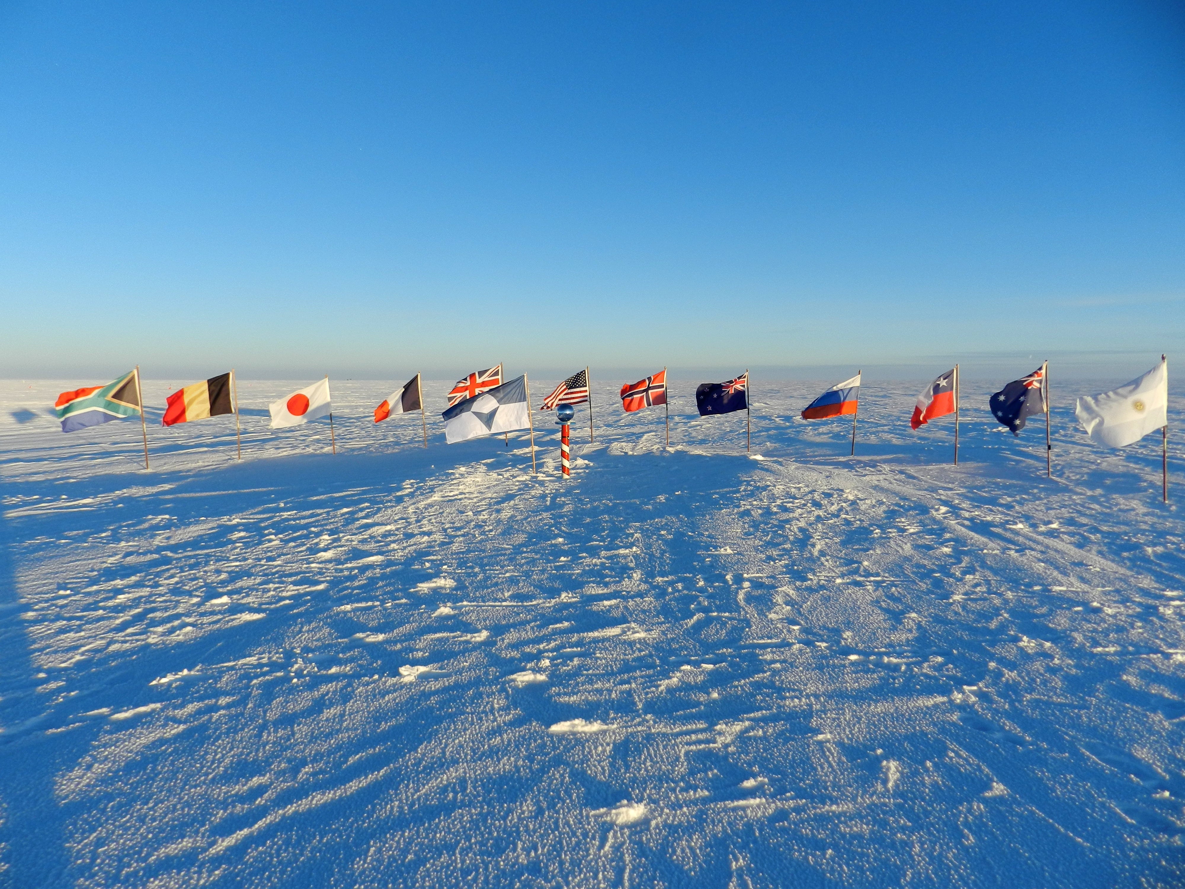 Multiple True South Antarctica flags displayed together
