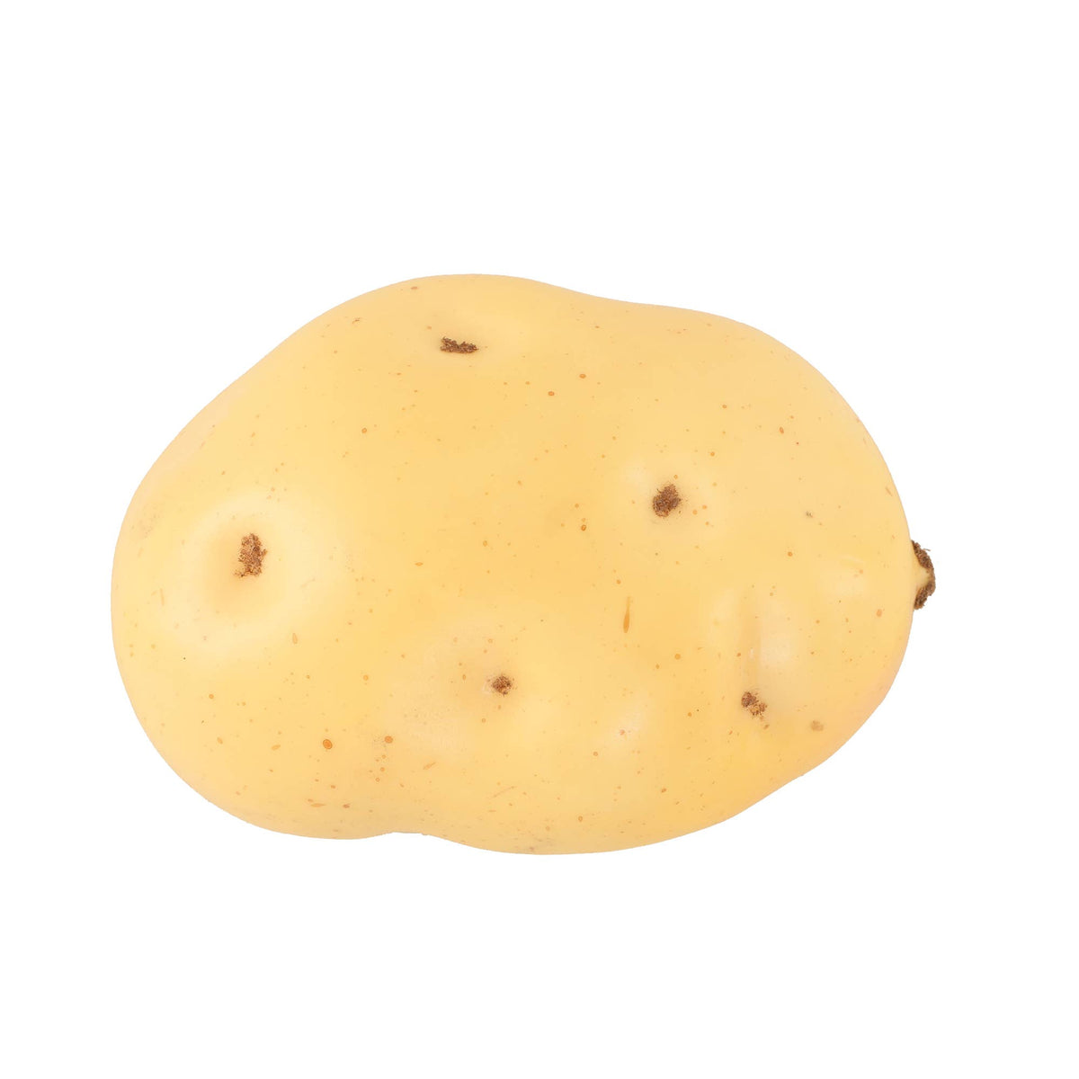 Large artificial potato — side view showing texture and coloring detail