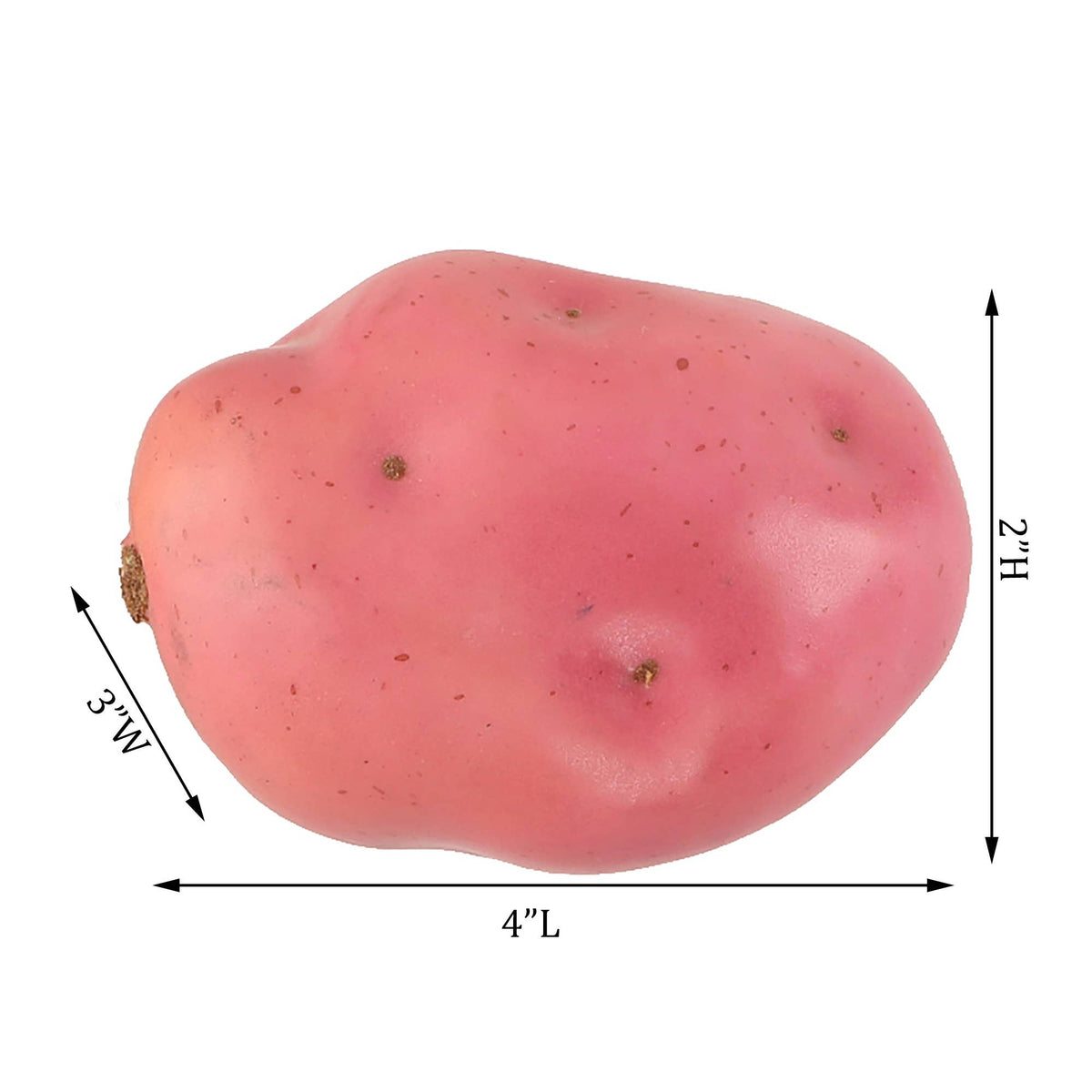 Large artificial potato — end view showing hand-made surface texture