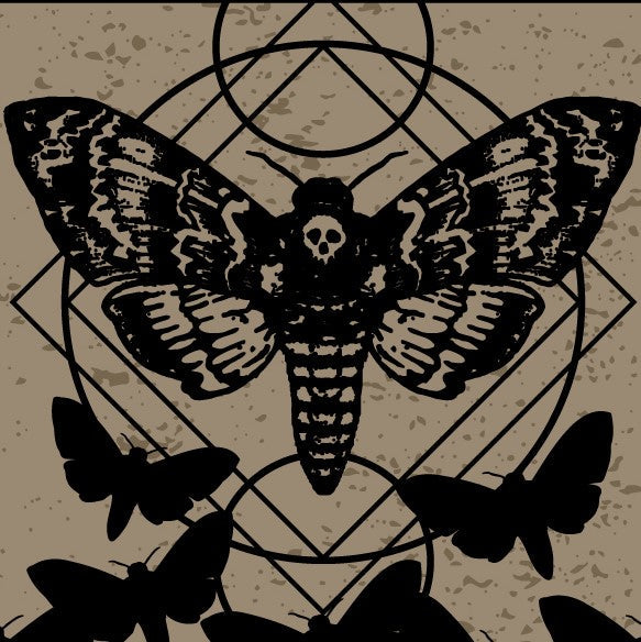 Chaussettes mi-mollet Sphinx Tête de Mort