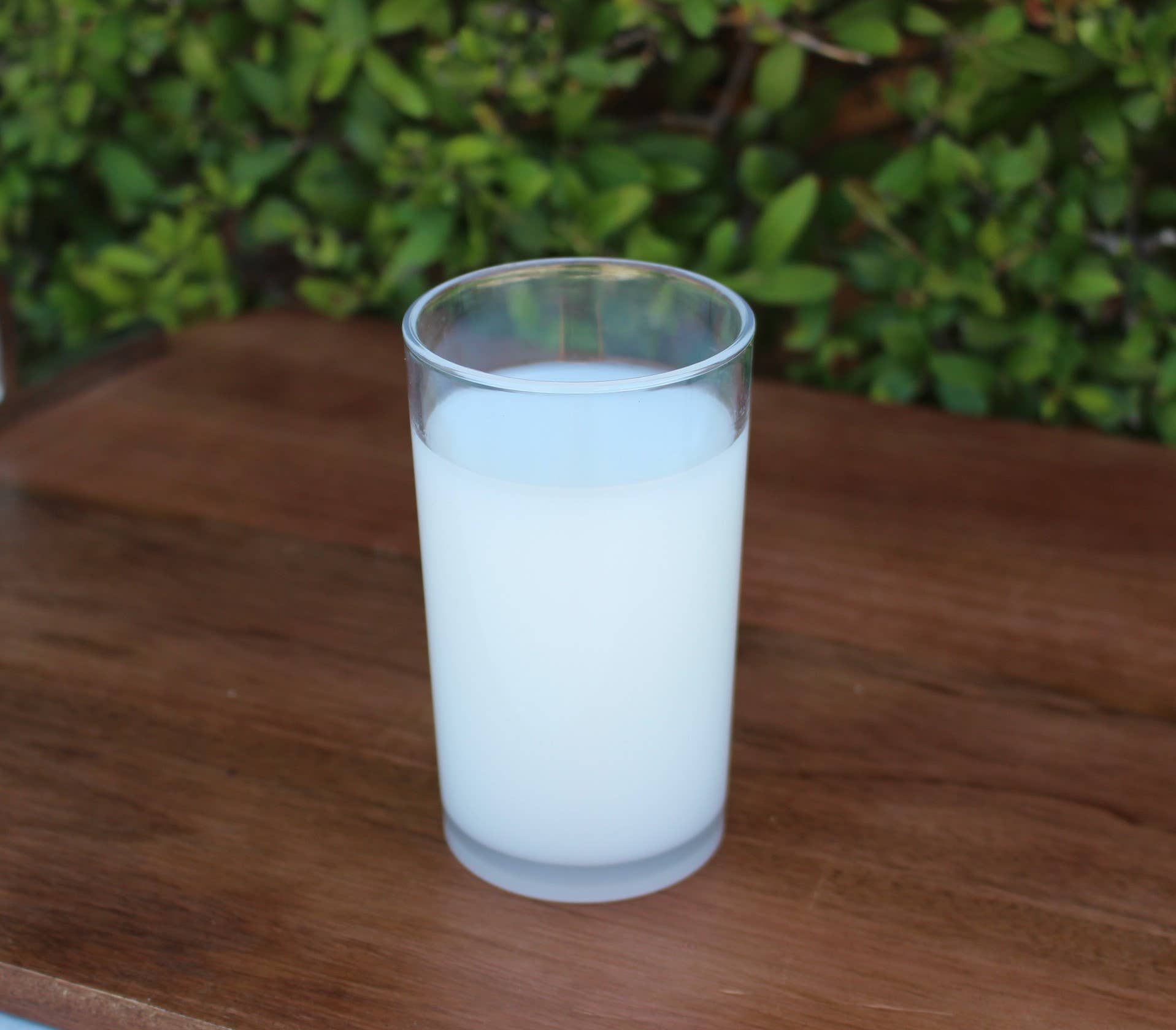 Fake Glass of Milk