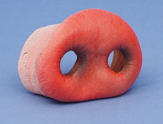 Realistic pink plastic pig nose — elastic cord, fits adults, teens, and children