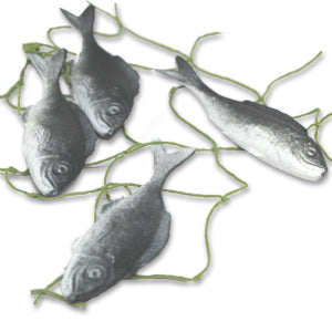 Sardines (4)