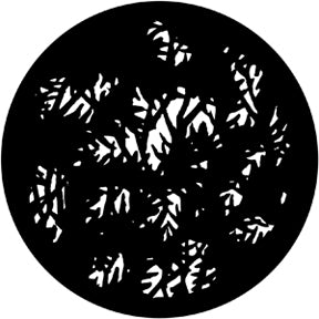 Dense Leaves (Detail)