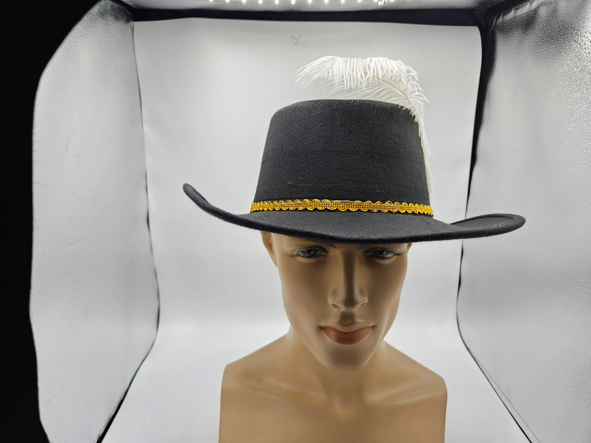 Musketeer hat — top-down view showing brim shape and feather placement