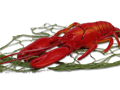 Realistic Lobster
