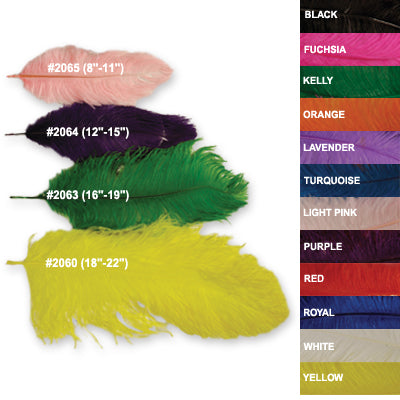 Ostrich Plume 12"-15"