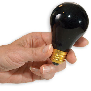 Blacklight Bulb