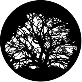 Tree 3