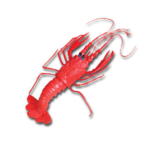Lobster