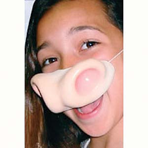 Cow Nose