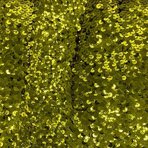 1 Flat Sequin Trim (Stretch)