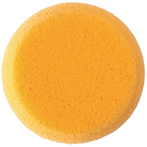 Small and medium Hydra Sponges side by side — size comparison