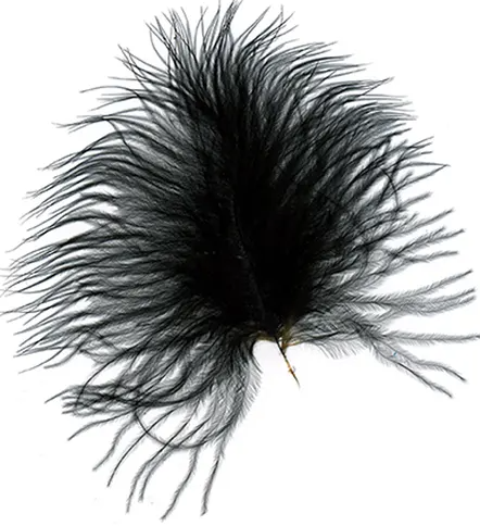 Loose Feathers