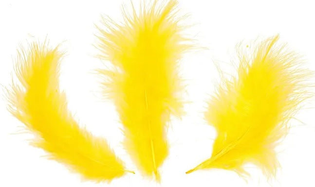 Loose  Feathers