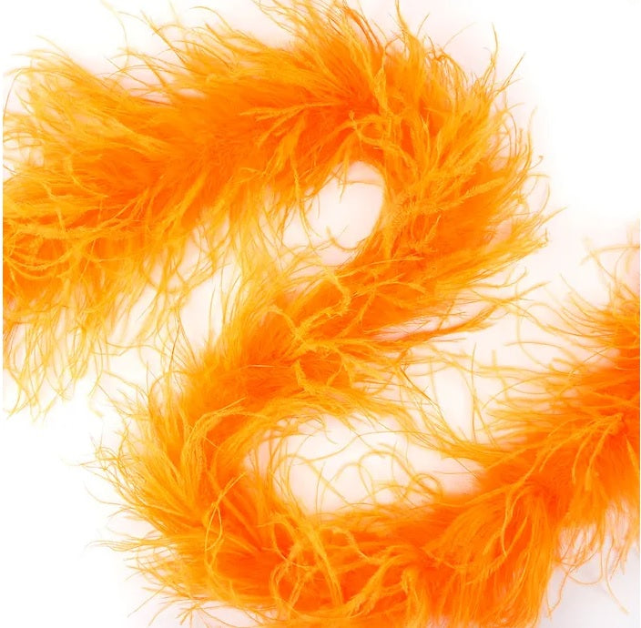 Boa en plumes d'autruche
