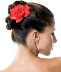 Rose hair clip — decorative flower clip in French Kiss style