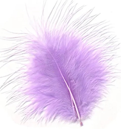 Loose Feathers