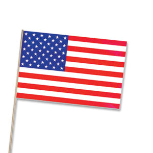 American Flag (4"x6") Plastic