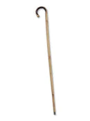 Bamboo curved cane — in-use view showing full 36" length and handle curve