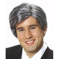Old Man Silver Fox Wig