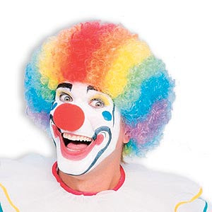 Clown / Afro Wig