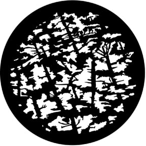 Pine Branches