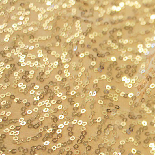 Bem/Zsa Sequin Stretch